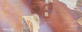 黑天鵝 - 當代一畫廊