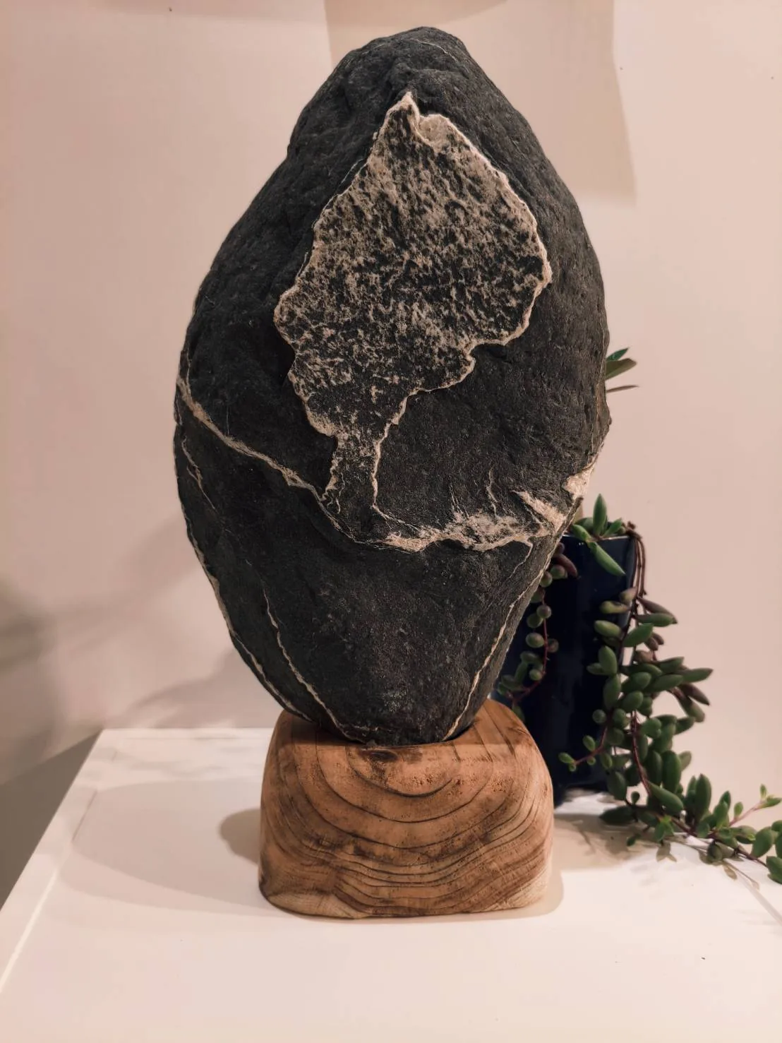 2026 嘉義市愛石會 115 年度第 20 屆第 1 次會員成果展 - 嘉義市立美術館