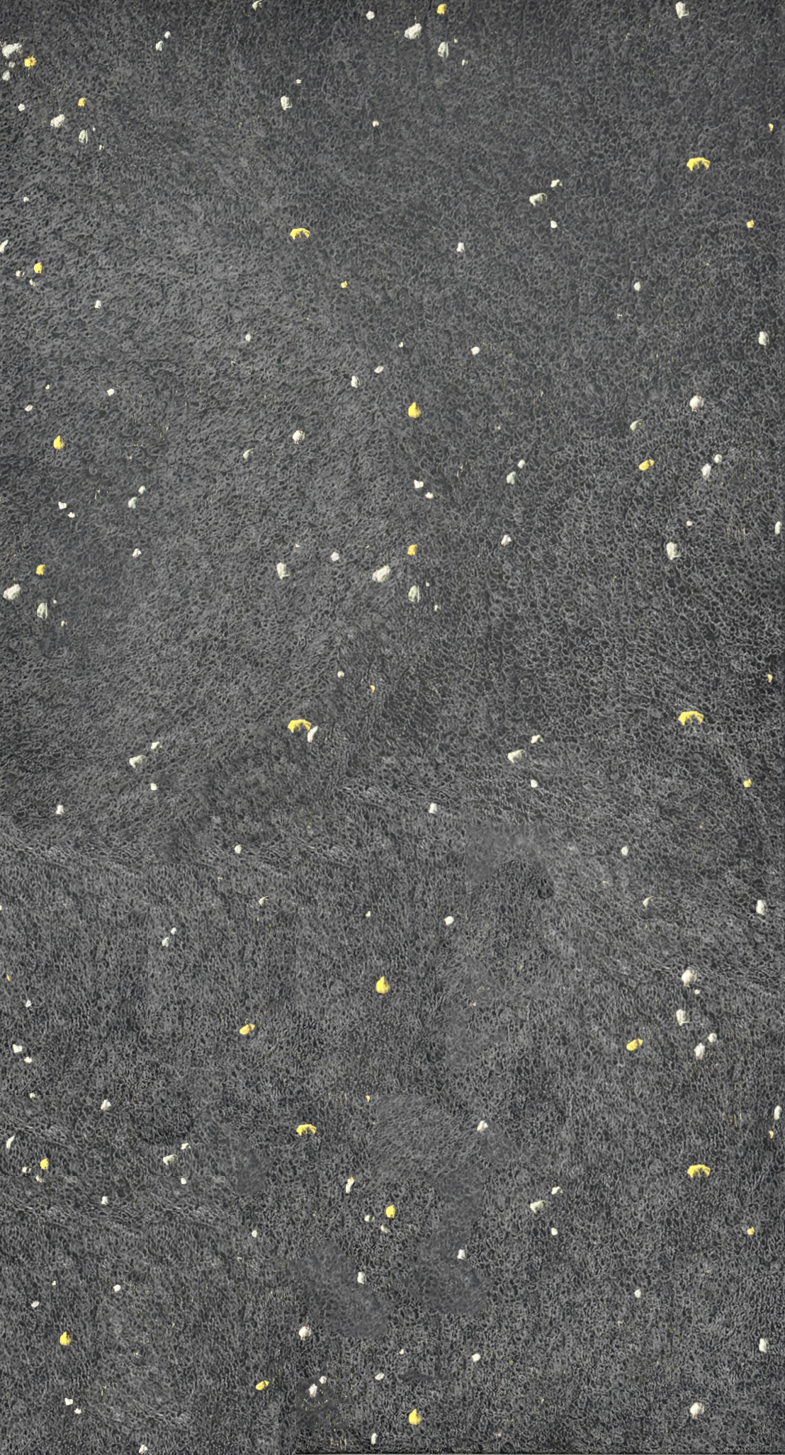 黃立穎 創作個展 【晃悠】 - 金車文藝中心