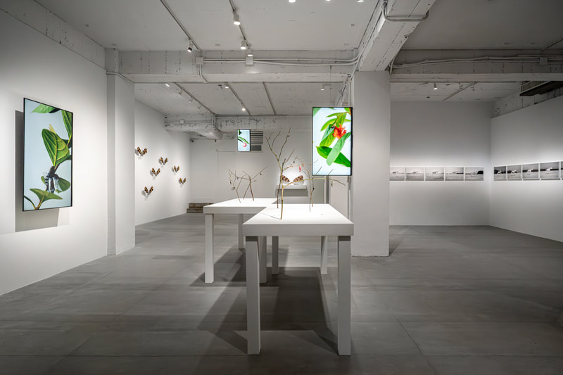 Life at the Threshold​ - 就在藝術空間