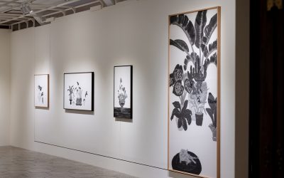 2026 Yuning Yang - 弎畫廊