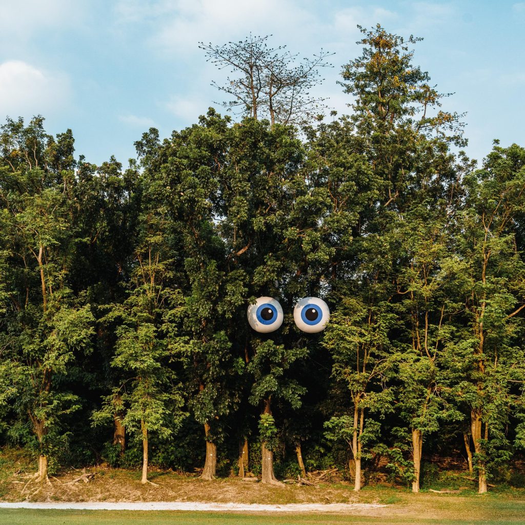 Kaohsiung GuoLing Nature Park Art Promotion Project – Big Eyes of Guoling (2025) - 蔚龍藝術有限公司